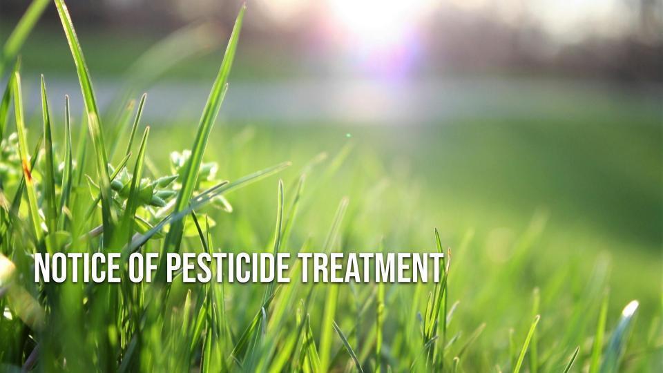 Advanced Notice of Pesticide Treatment - photo of grass