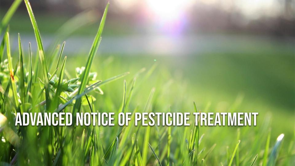 Advanced Notice of Pesticide Treatment - photo of grass