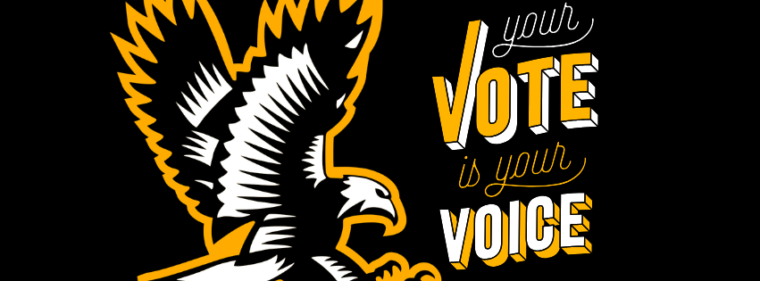 Your Vote is your Voice