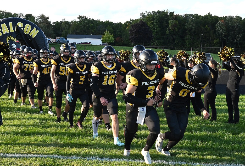 FALCON FAMILIES!! Help the Falcons boost our chances of winning $5,000 for our school as part of the #FN5GL $5K Fridays Sweepstakes!  In addition to #FN5GL, #Sweepstakes, @TMobile and @lakevillecommunityschools, please SHARE! 