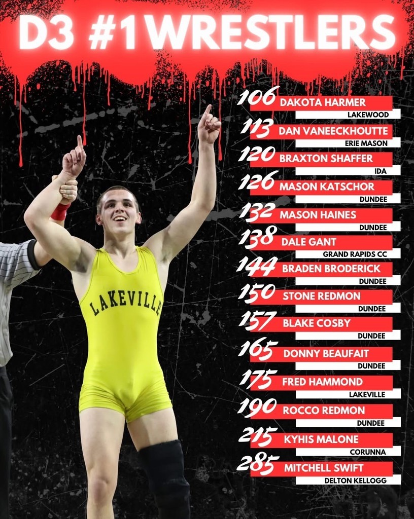 Wrestling Division 3 Individual Rankings