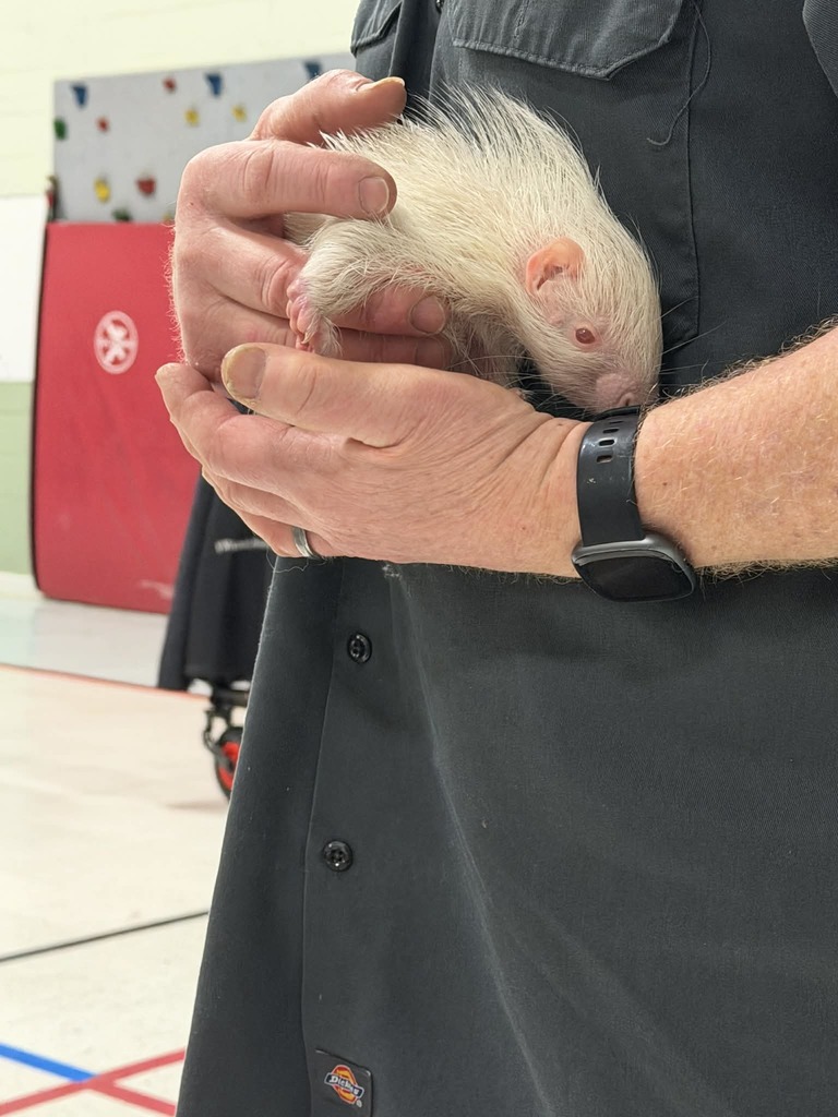 Our PTS Group snagged the legendary Assembly Animal Magic show, crowned the top educational exotic animal program in the U.S. We were truly amazed by the array of unique creatures that came to visit us!
