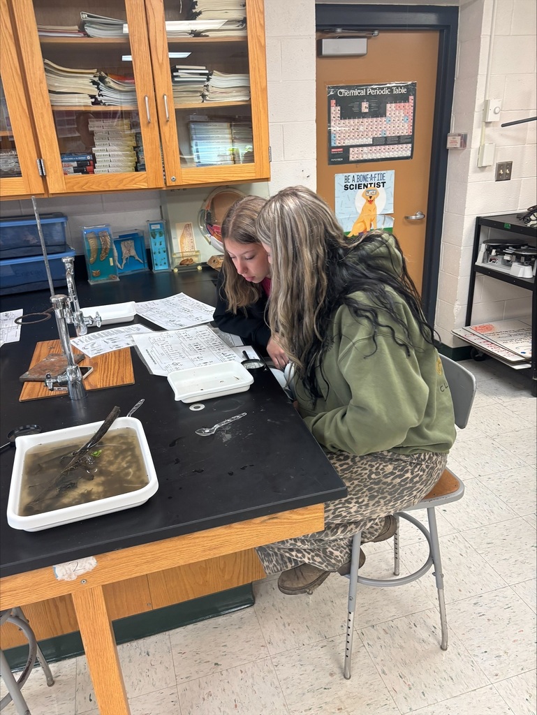 Jamie Welch and Sarah Keyser-Brown from the Flint River Watershed Coalition in conjunction with Genesee County Parks came to Mr. Whitney's Conservation and Ecology and Environmental Science classes. They taught the students how to find and identify benthic organisms (water bugs) and explained why their monitoring is essential in determining watershed health. 