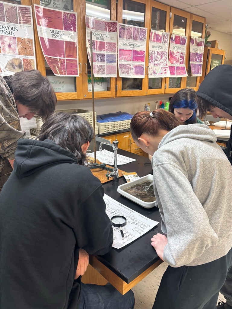 Jamie Welch and Sarah Keyser-Brown from the Flint River Watershed Coalition in conjunction with Genesee County Parks came to Mr. Whitney's Conservation and Ecology and Environmental Science classes. They taught the students how to find and identify benthic organisms (water bugs) and explained why their monitoring is essential in determining watershed health. 