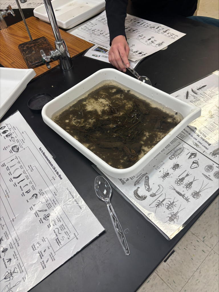 Jamie Welch and Sarah Keyser-Brown from the Flint River Watershed Coalition in conjunction with Genesee County Parks came to Mr. Whitney's Conservation and Ecology and Environmental Science classes. They taught the students how to find and identify benthic organisms (water bugs) and explained why their monitoring is essential in determining watershed health. 