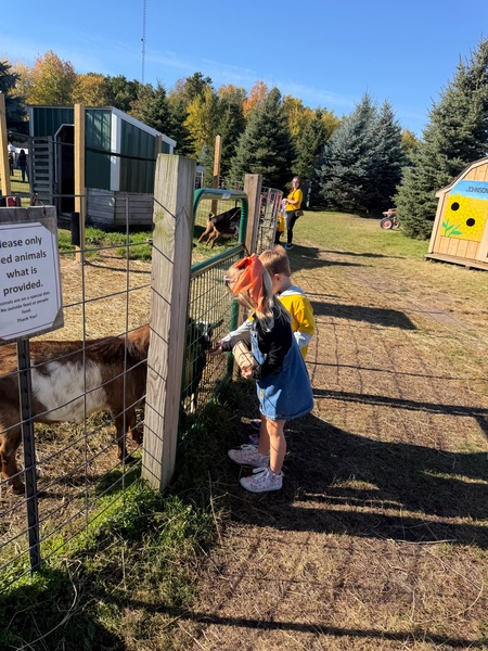 Preschoolers visit Johnson's Pumpkin Farm