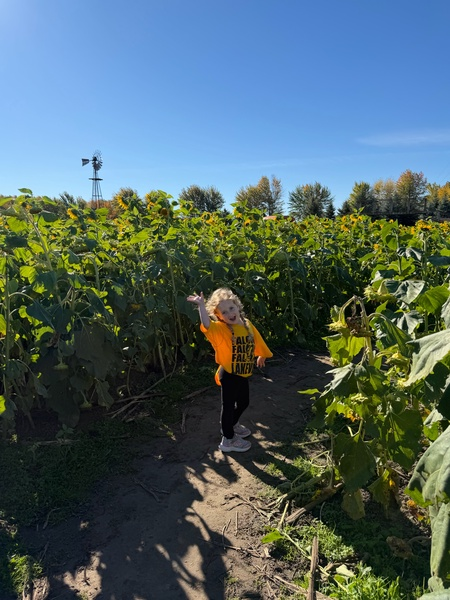 Preschoolers visit Johnson's Pumpkin Farm