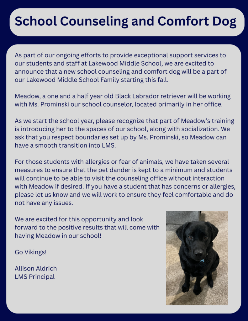 school counseling and comfort dog