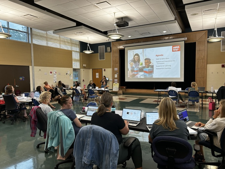 teacher professional development 