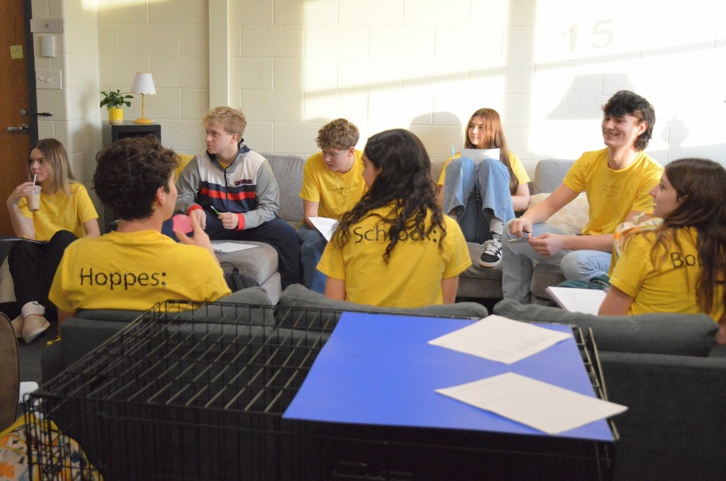 High School Mental Health Ambassadors