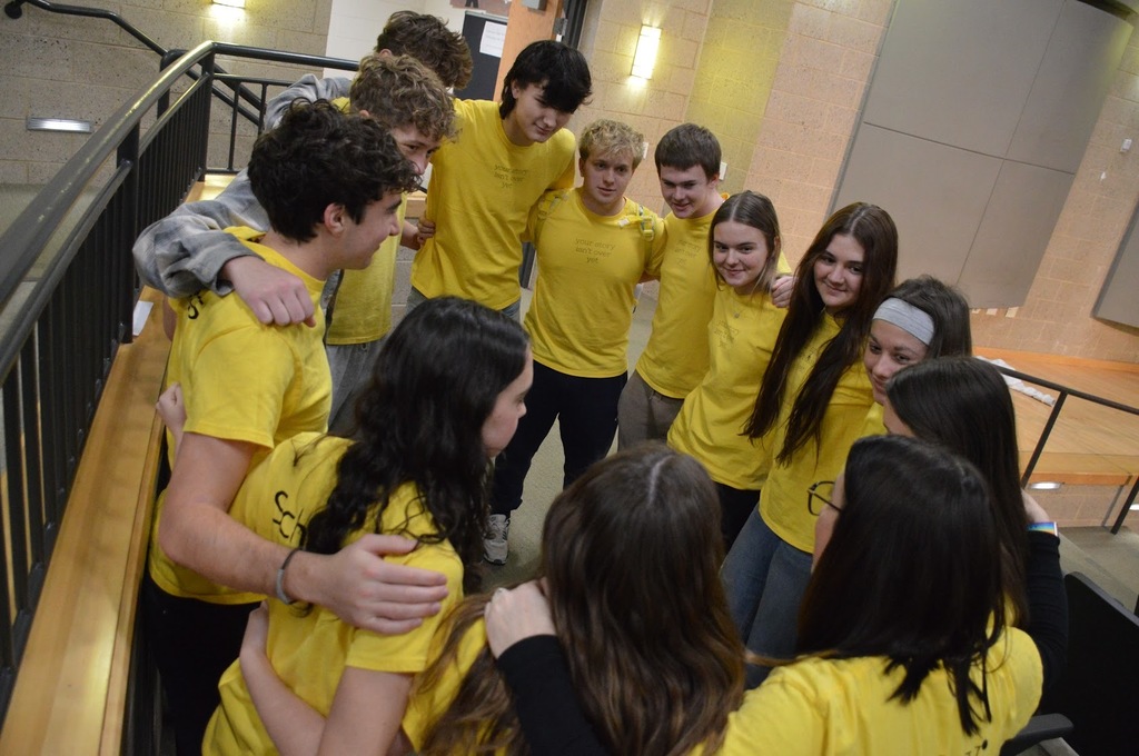 High School Mental Health Ambassadors