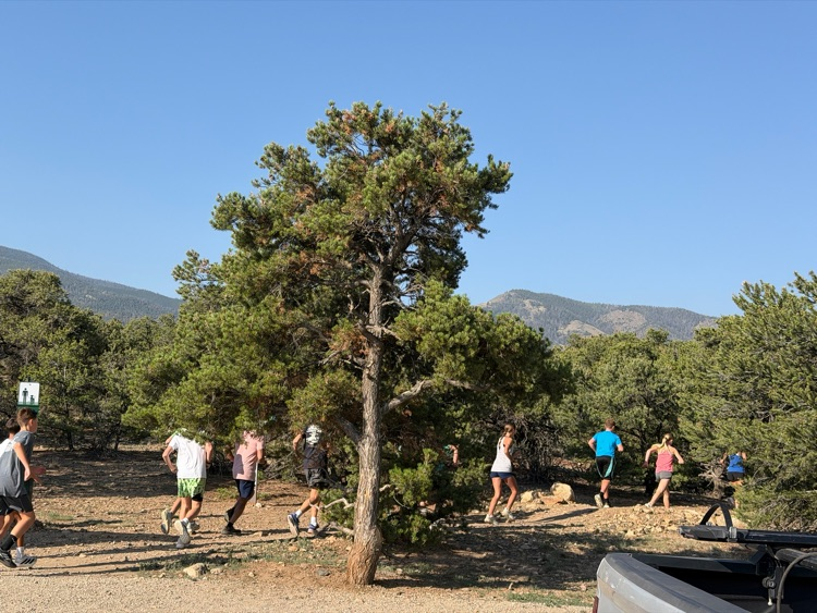 xc