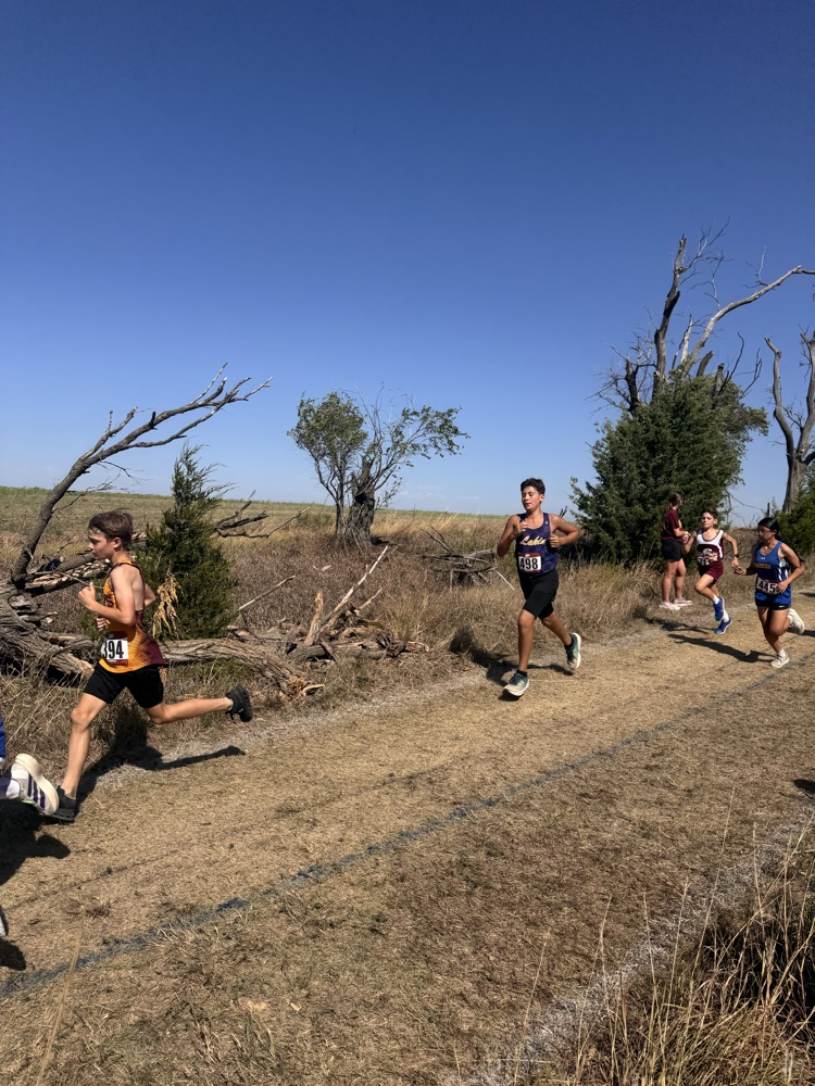 xc