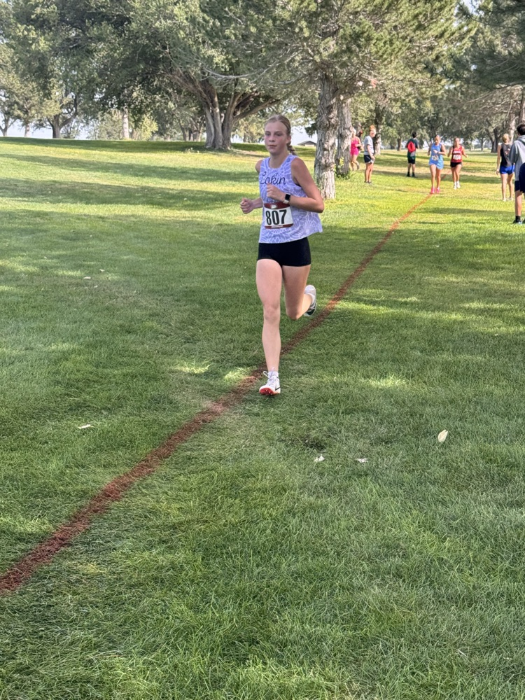xc