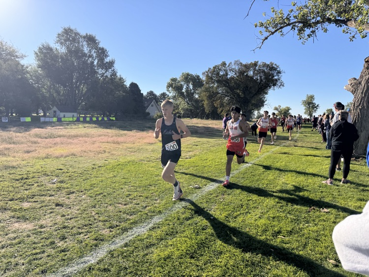 xc