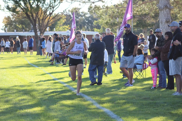 xc
