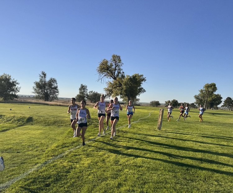 xc