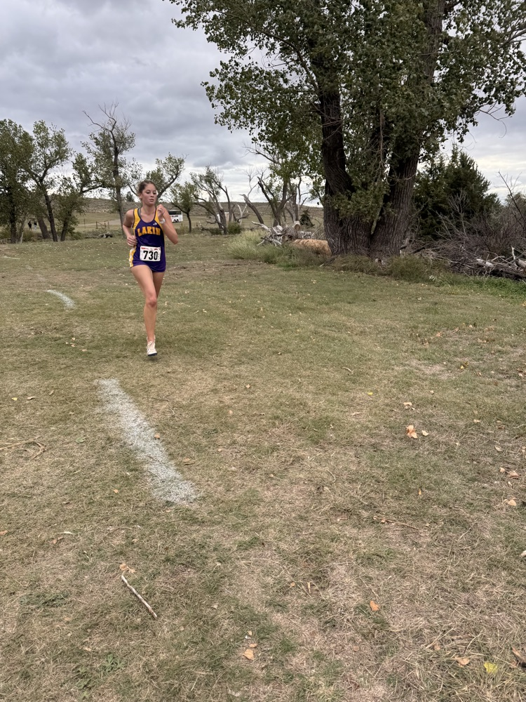 xc