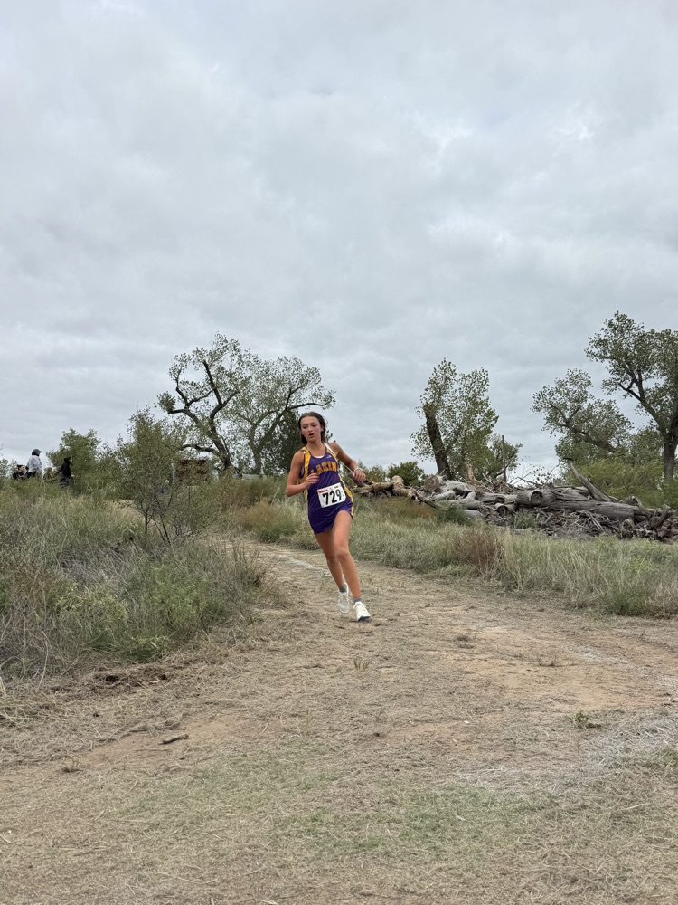 xc