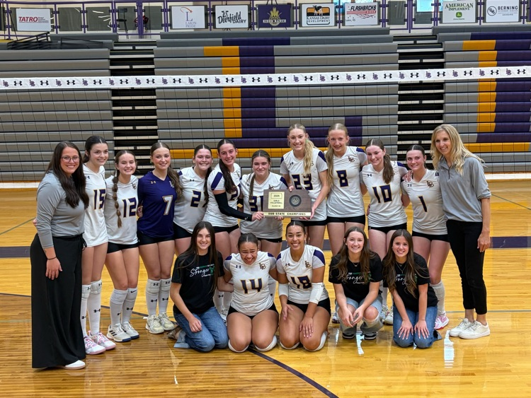 Lady Bronc Sub State Champs!