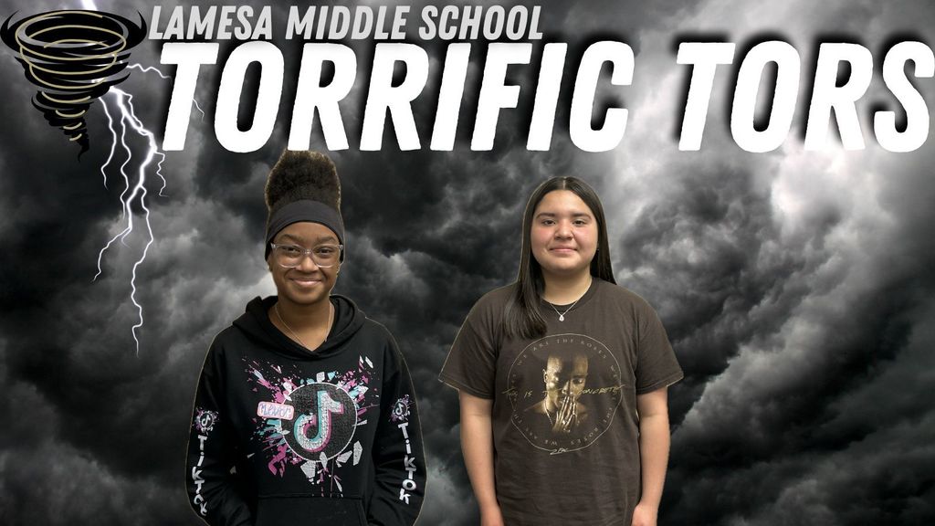 Torrific Tors of the Week!