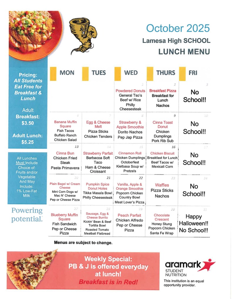 LHS OCT