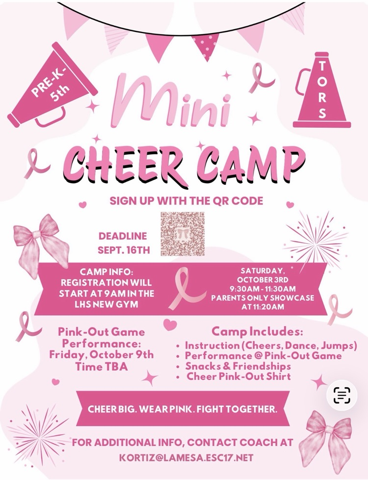 mini cheer camp