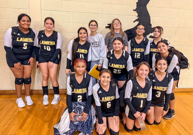 b team volleyball