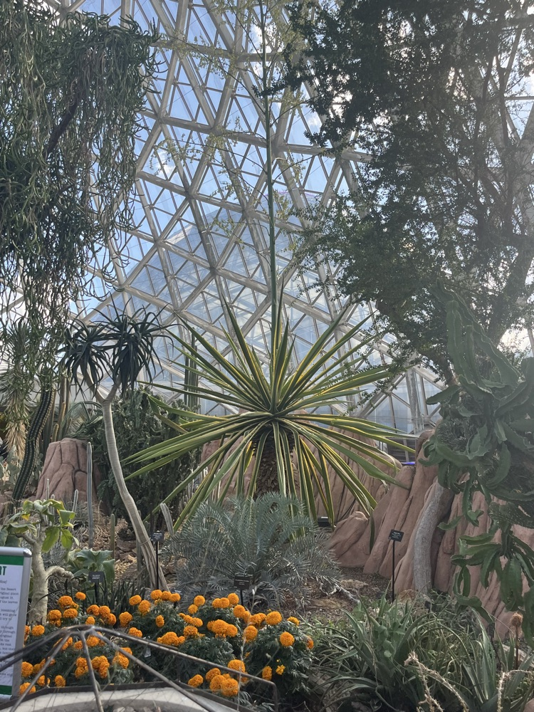 Mitchell Park Domes