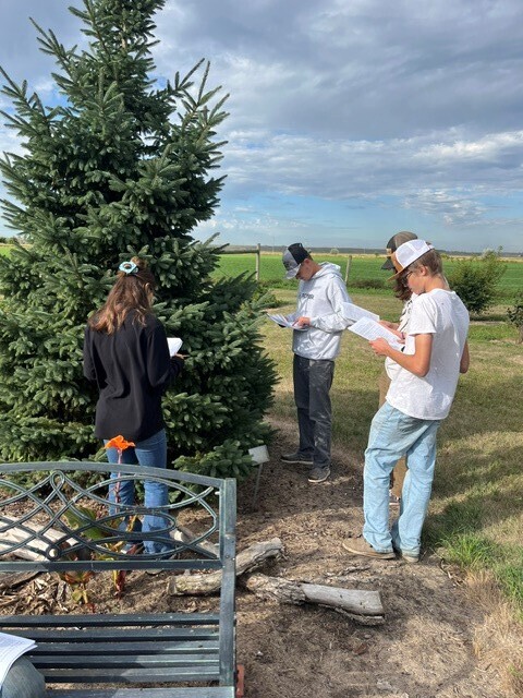 LaMoure County Soil Conservation Arboretum Students Keying Tree's