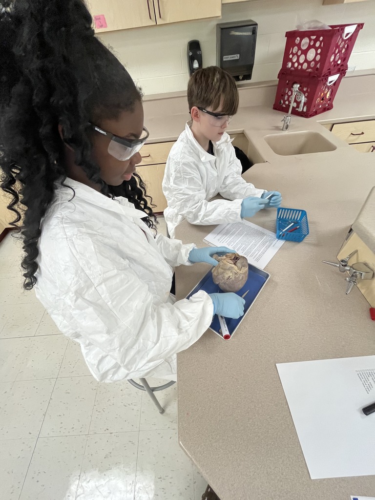 Page Scientists in McGlinchey's classes explore pig hearts