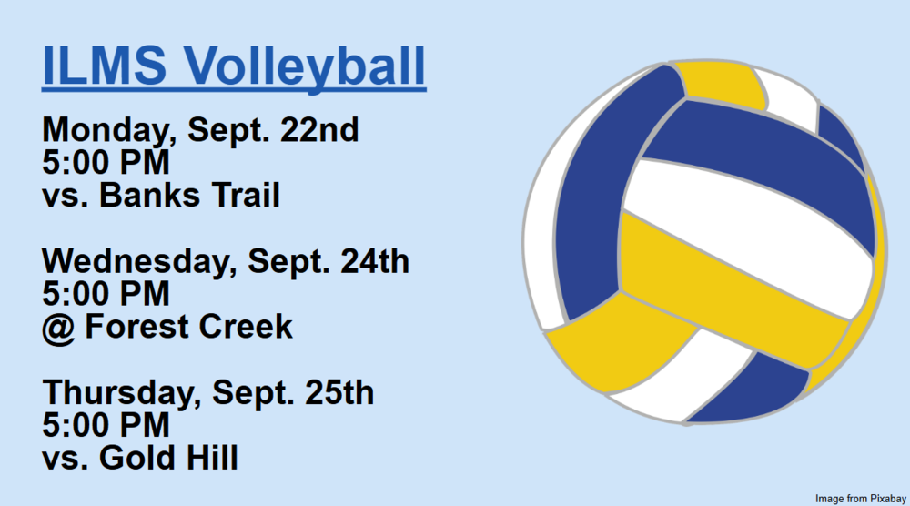Picture of a volleyball