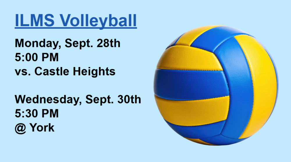 Picture of a volleyball
