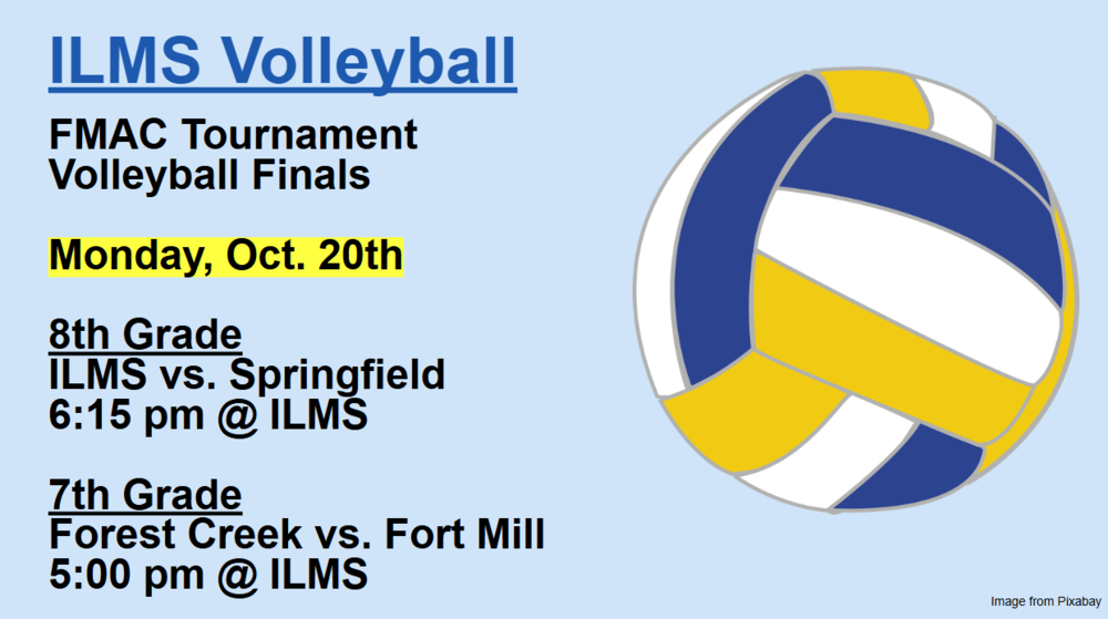 image of white, blue, and gold volleyball