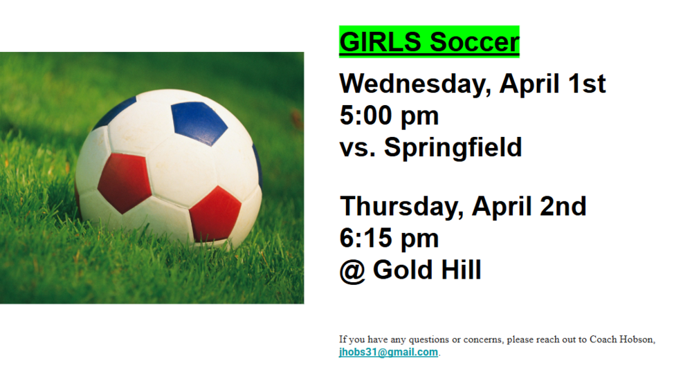 Picture of a soccer ball