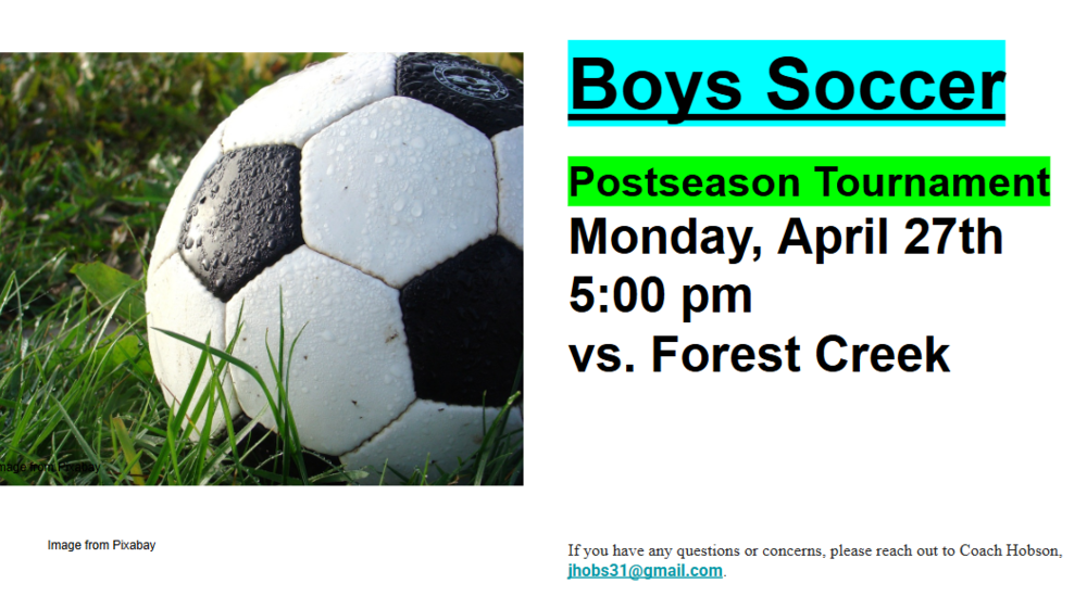 Picture of a soccer ball on grass