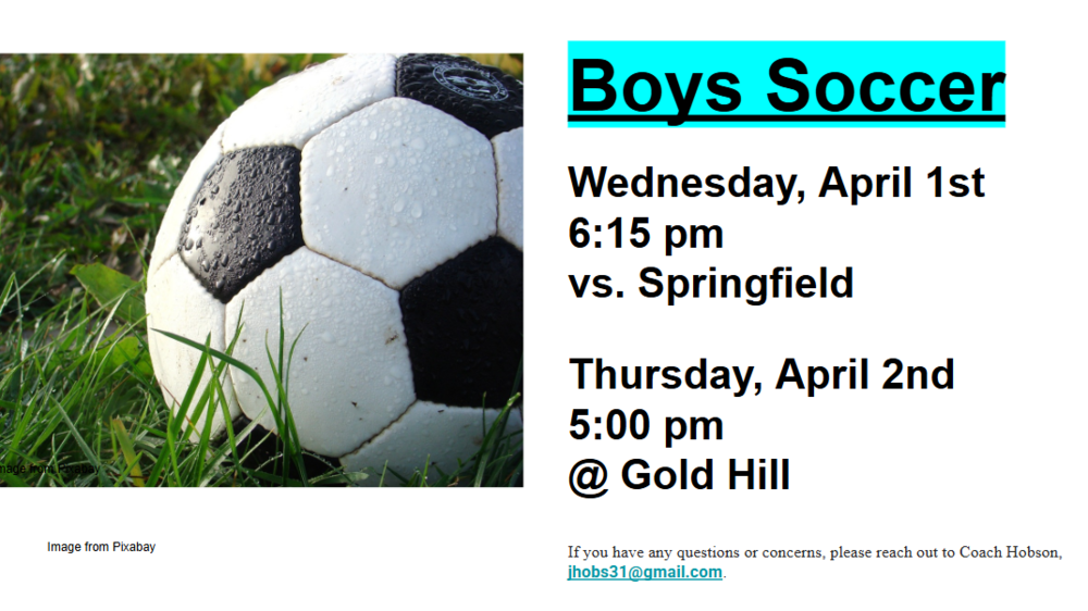 Picture of a soccer ball on grass