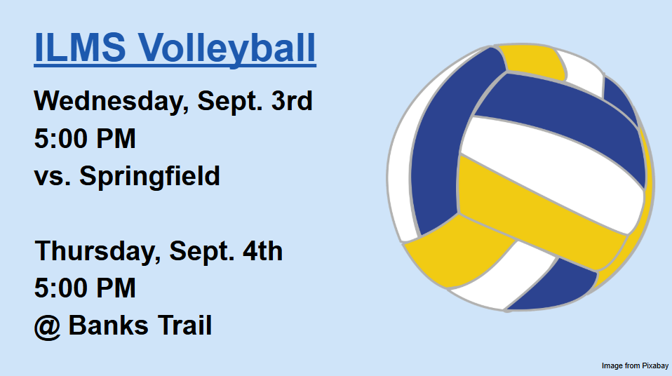 Picture of a volleyball