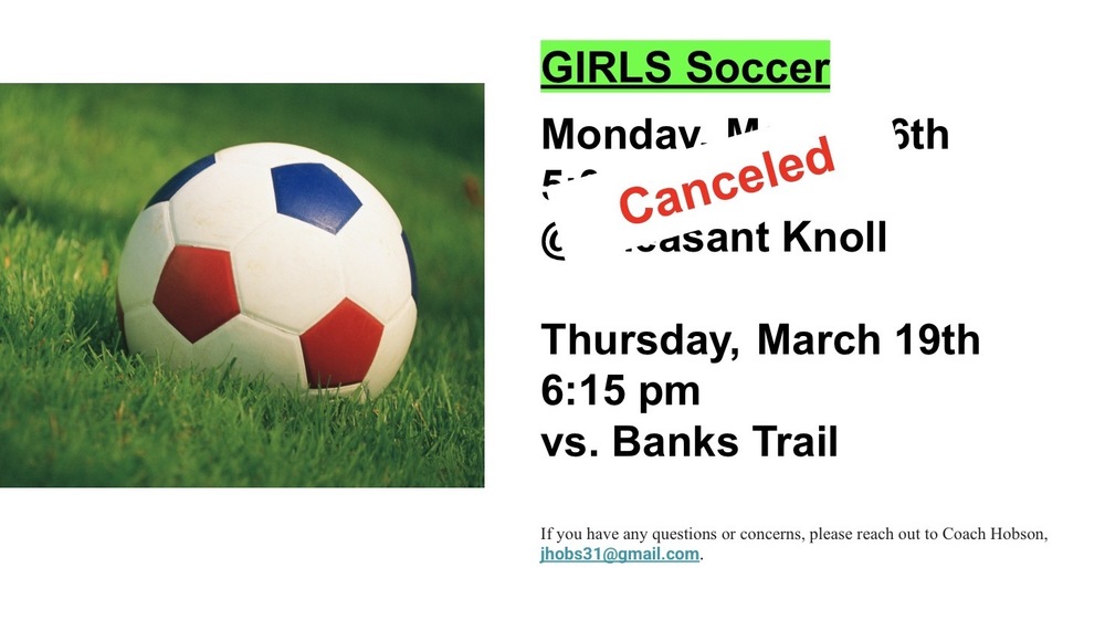 Picture of a soccer ball