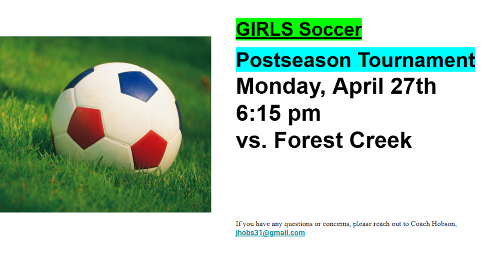 Picture of a soccer ball