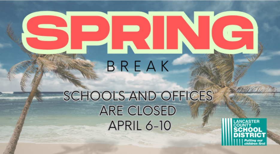 image of palm trees and a beach 