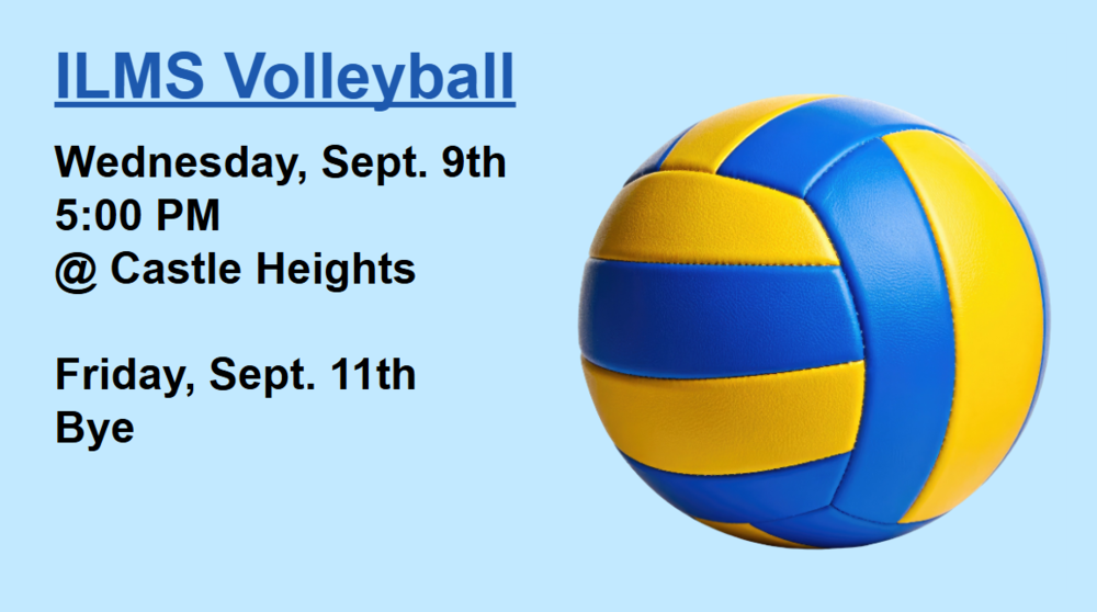 Picture of a volleyball