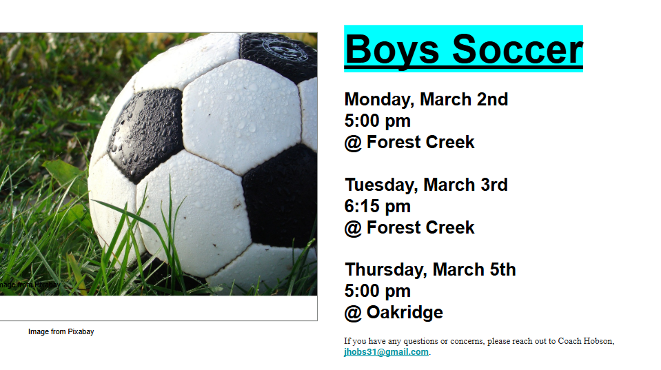 Picture of a soccer ball on grass