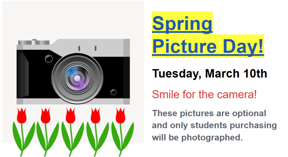 image of a clip art camera and tulips