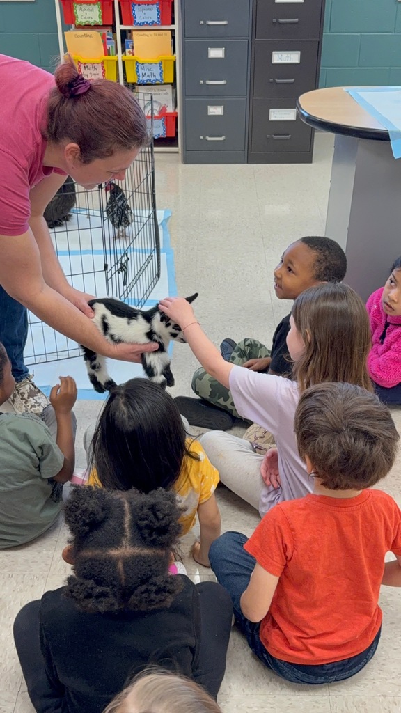 Here are additional 4K pictures featuring farm animals.