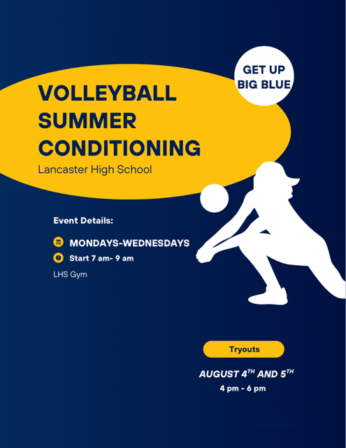Image of Volleyball Flyer
