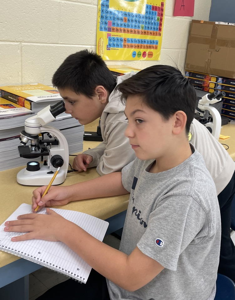 microscope