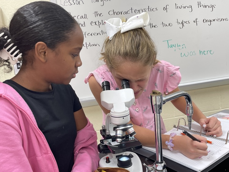 microscope
