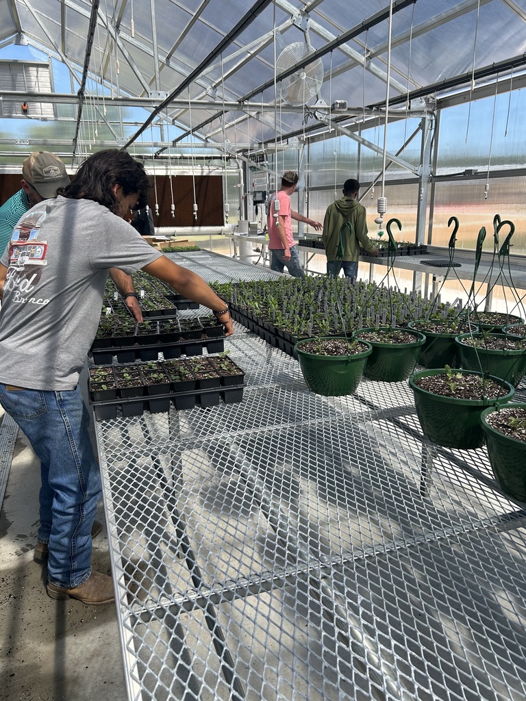 LCSDCC Horticulture Students Planting in Greenhouse