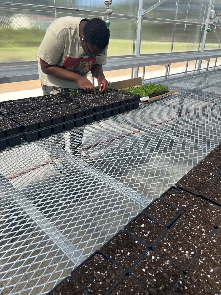 LCSDCC Horticulture Students Planting in Greenhouse